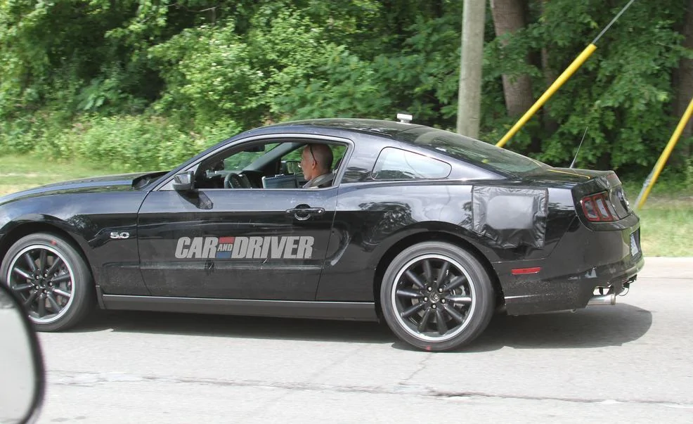 stang3.webp