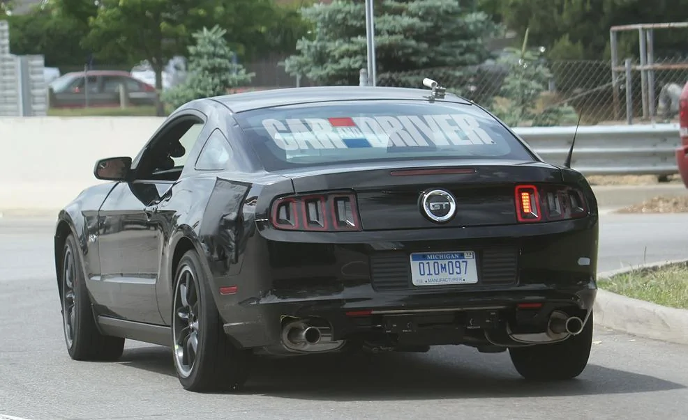 stang4.webp