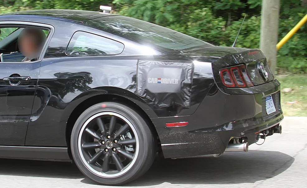 stang6.webp