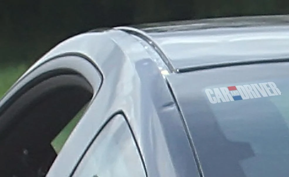 stang7.webp