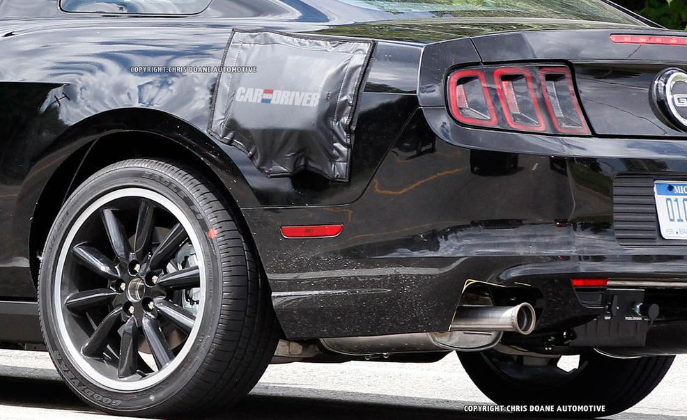 stang8.jpg