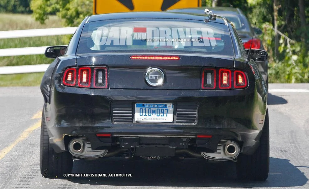 stang9.webp
