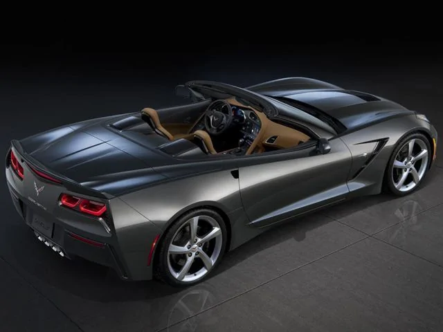 stingray conv.webp