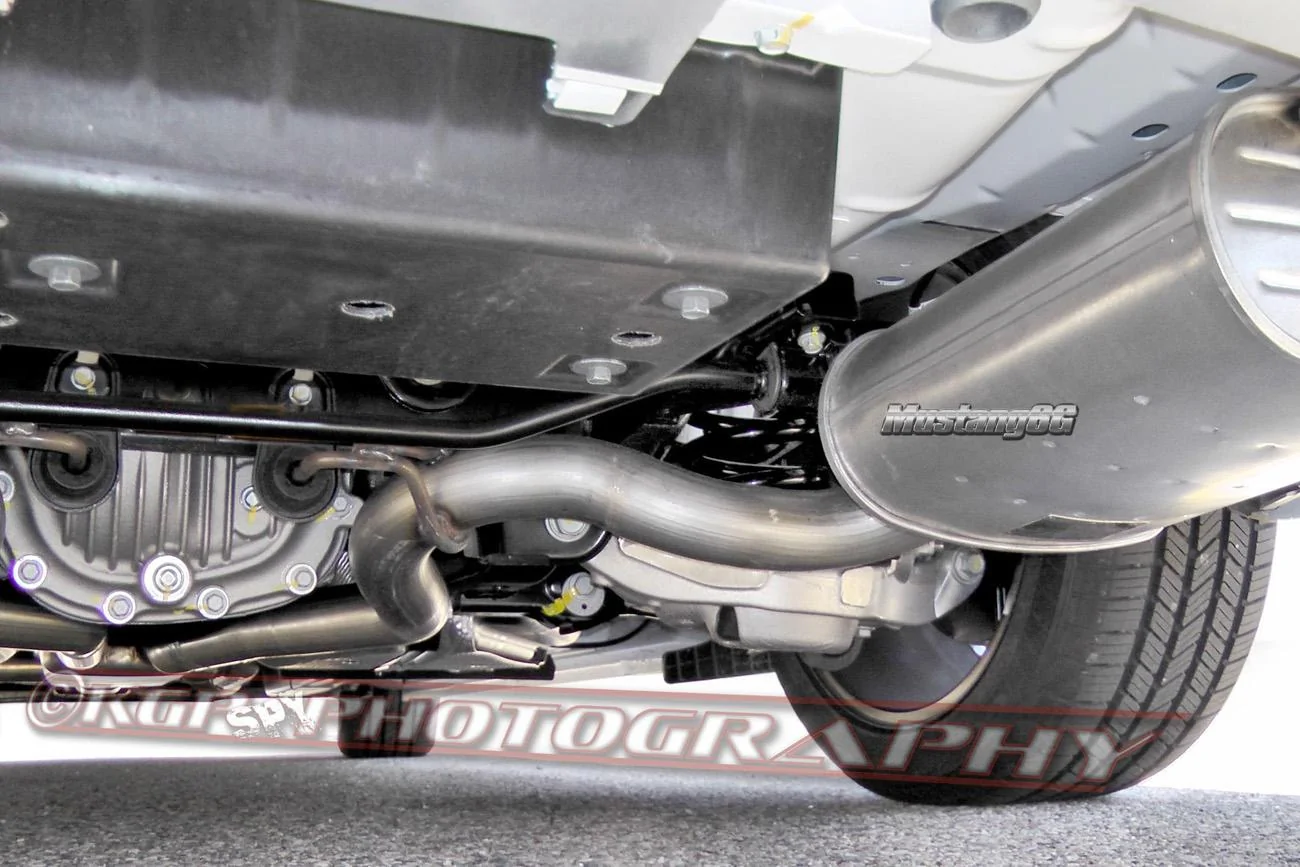 2015stang.susp02.kgp.ed.webp