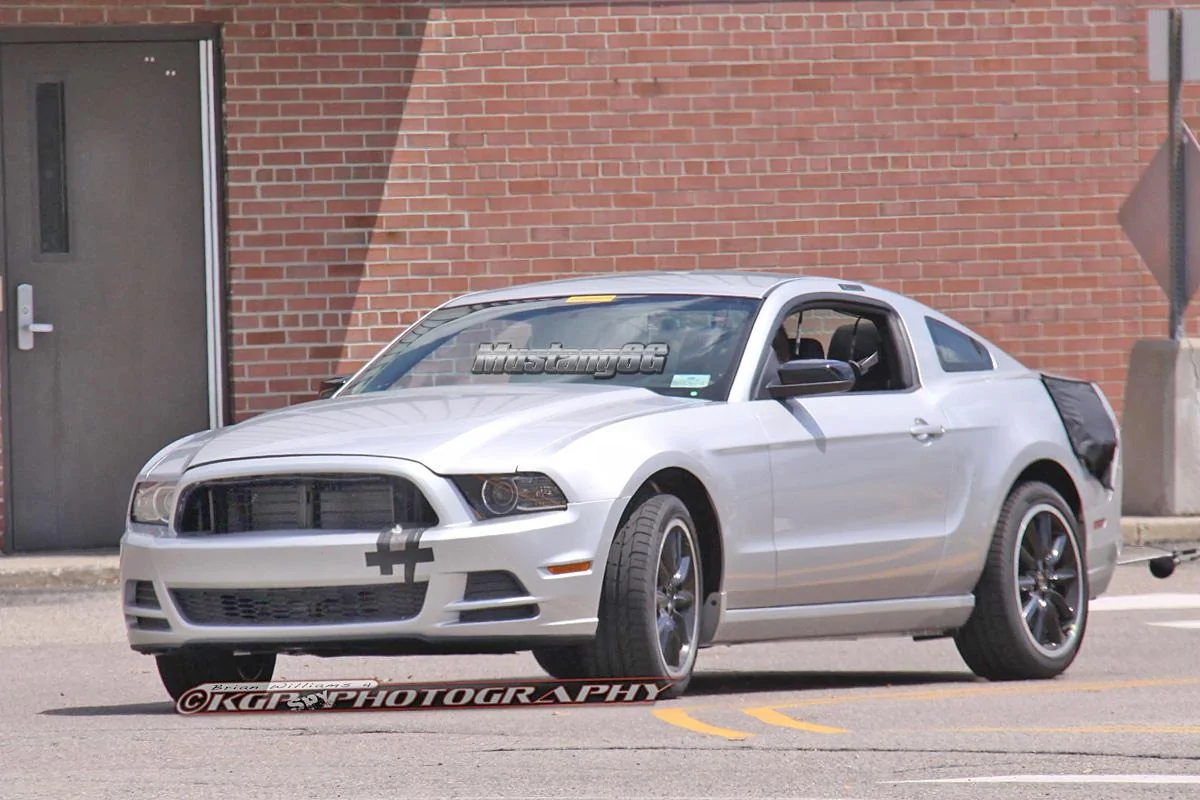 mustangmule.b01.kgp.ed.webp