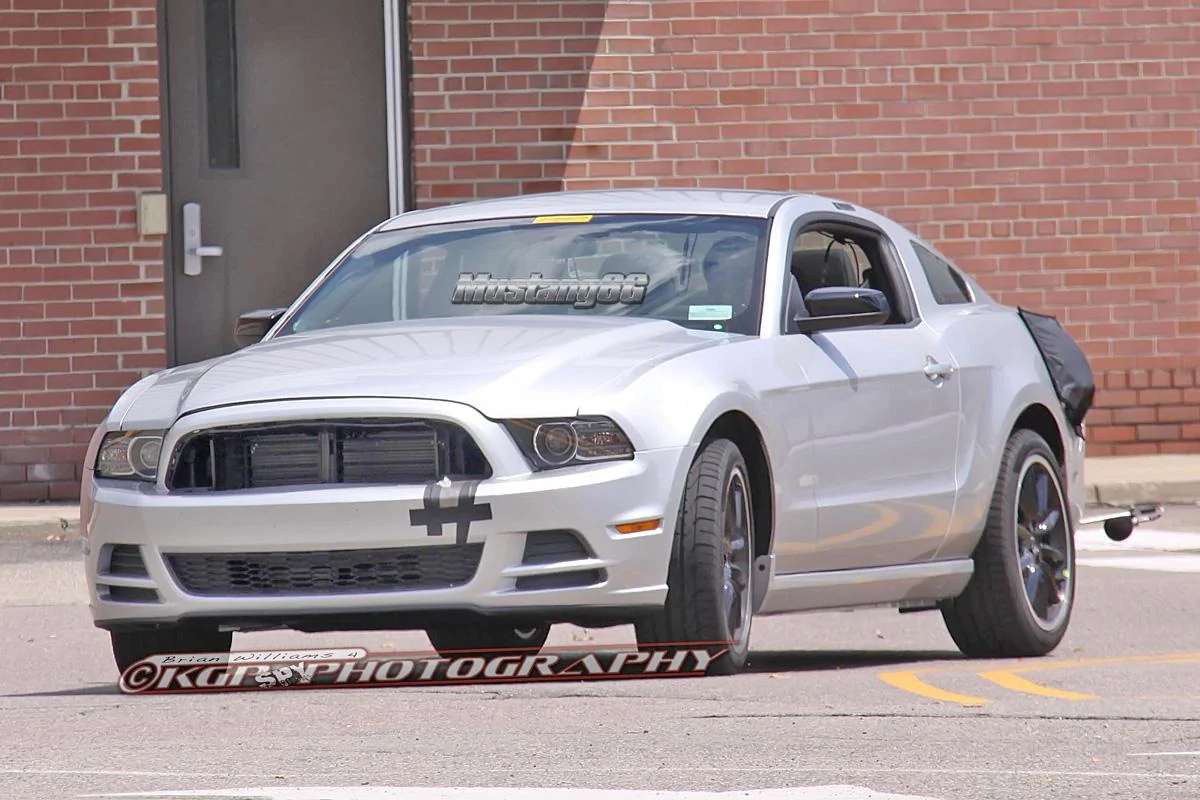 mustangmule.b02.kgp.ed.webp