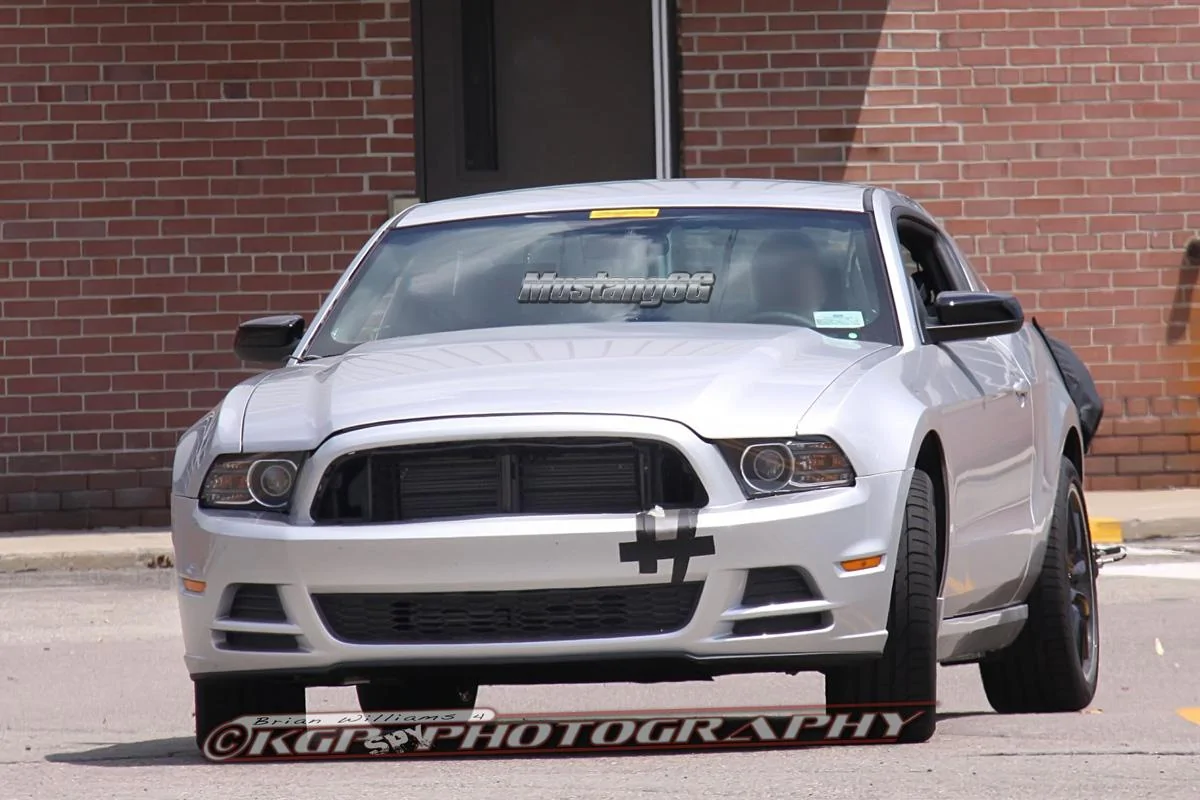 mustangmule.b03.kgp.ed.webp