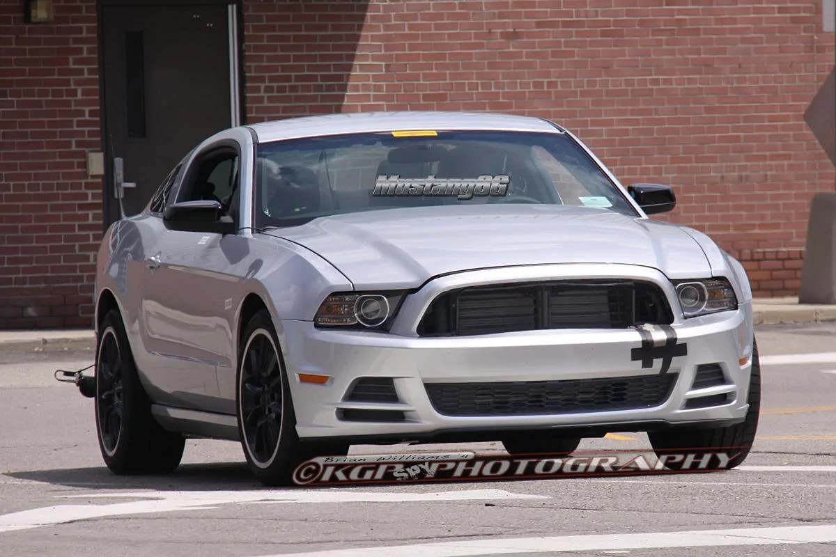mustangmule.b05.kgp.ed.webp