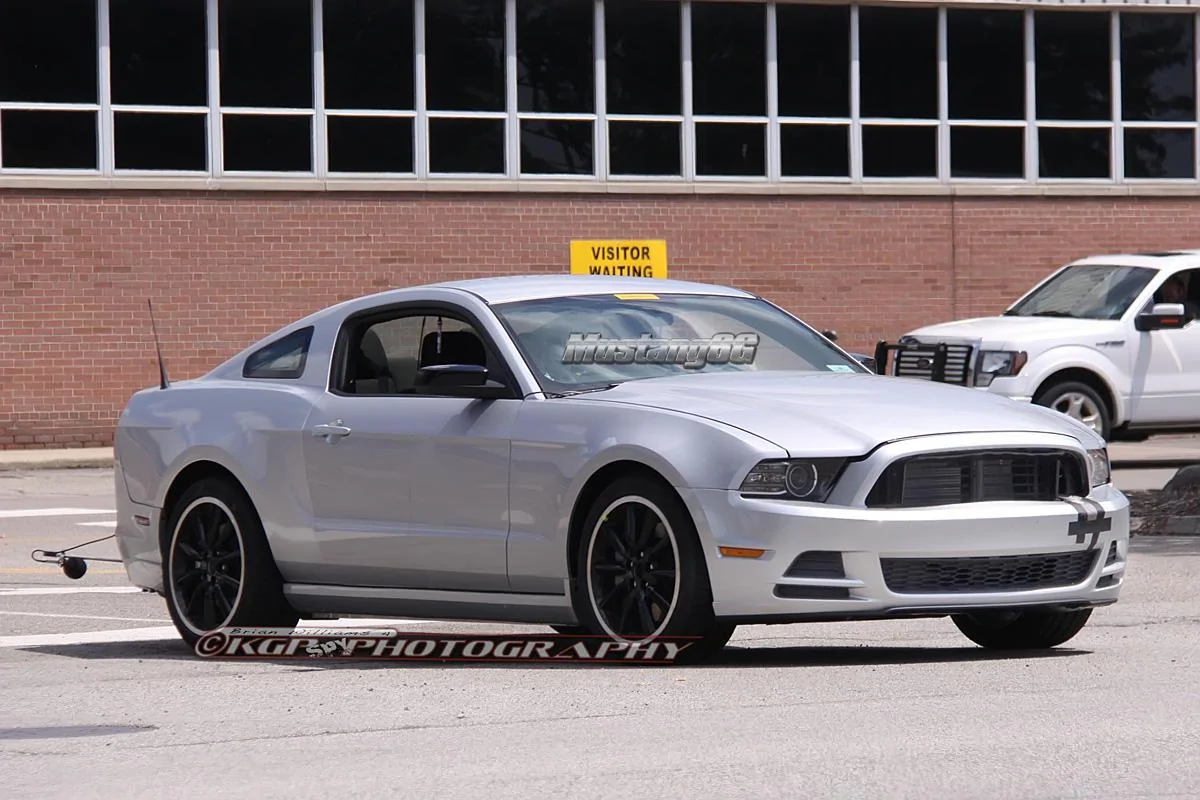 mustangmule.b06.kgp.ed.webp