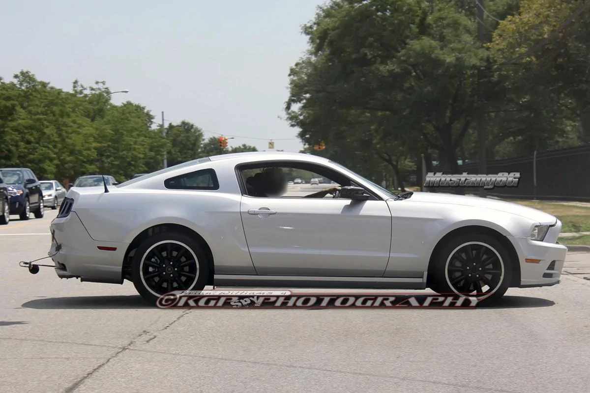 mustangmule.b07.kgp.ed.webp