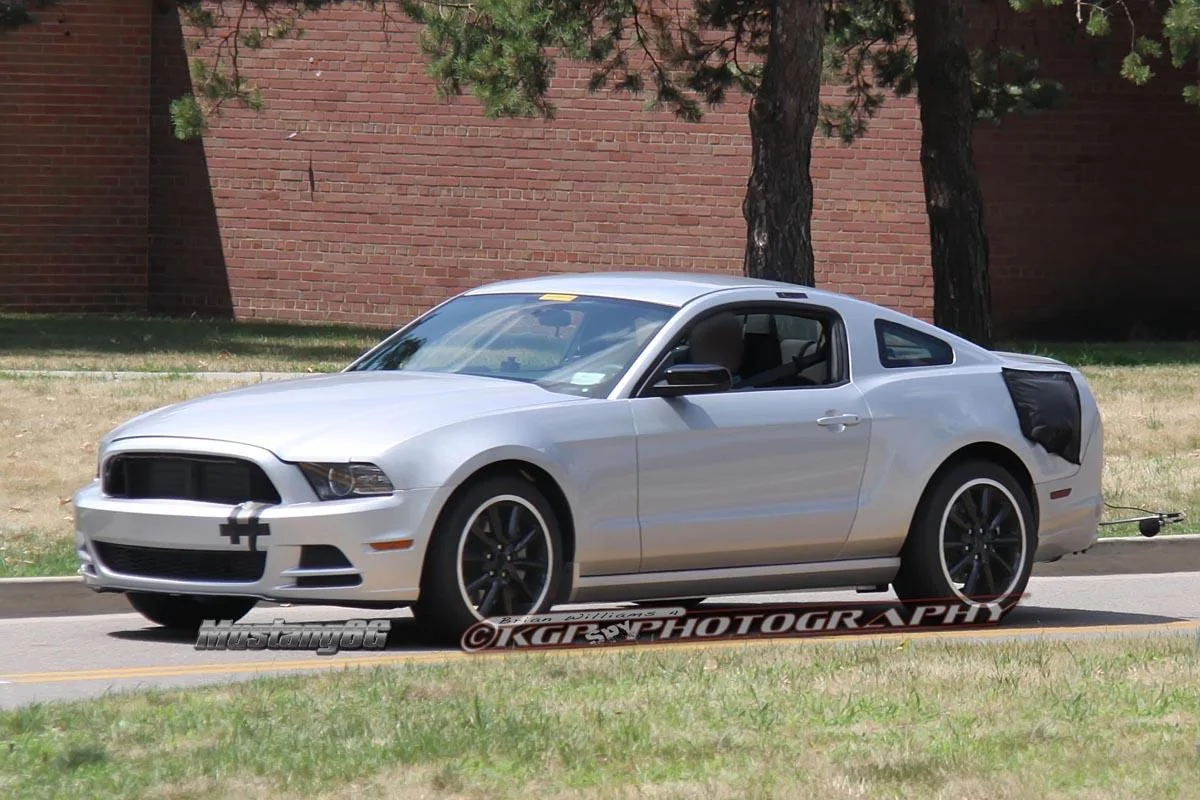 mustangmule.b08.kgp.ed.webp