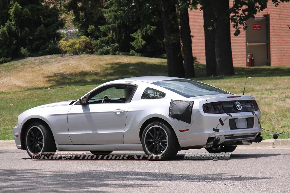mustangmule.b09.kgp.ed.webp