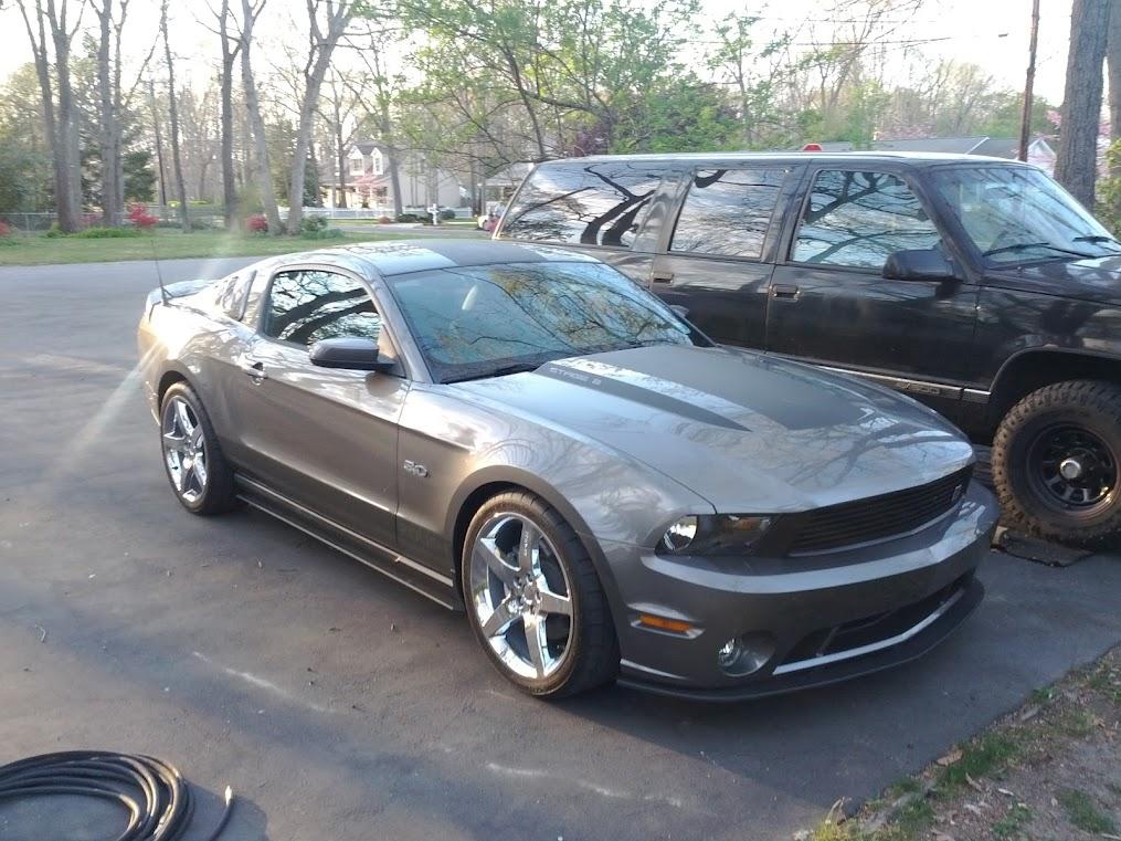 mustang1.jpg