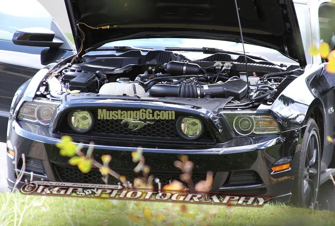 MustangMule.co1.KGP.ed-2199324072-O.webp