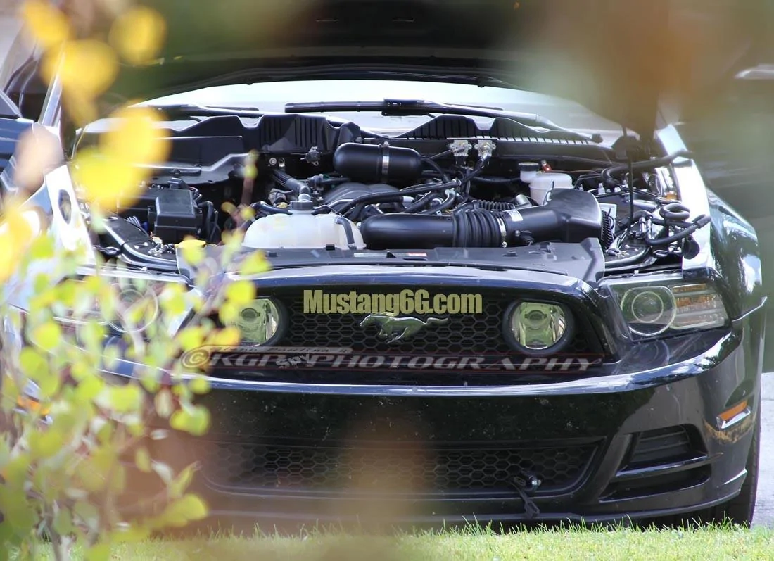 MustangMule.co2.KGP.ed-2199324382-O.webp