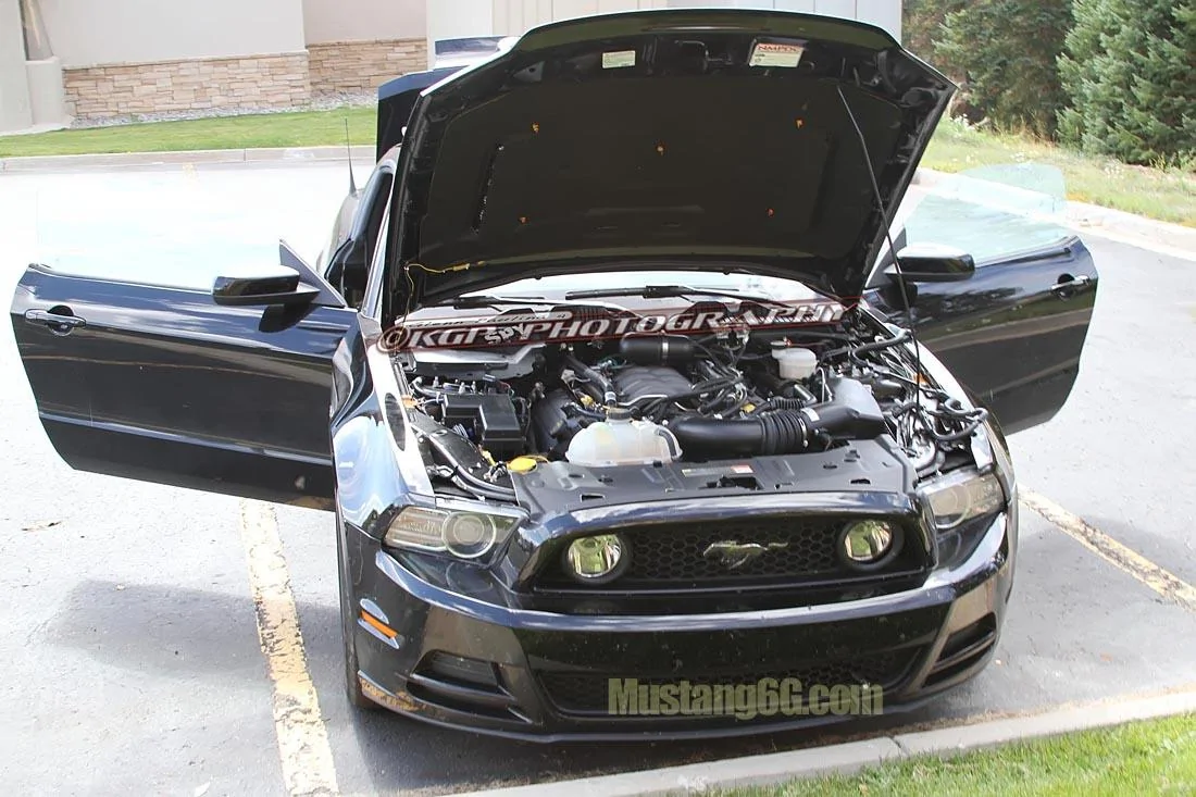 MustangMule.co3.KGP.ed-2199324455-O.webp