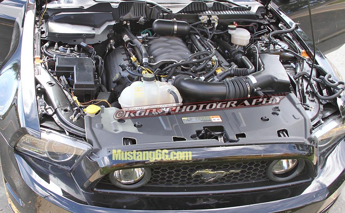MustangMule.co4.KGP.ed-2199324683-O.jpg