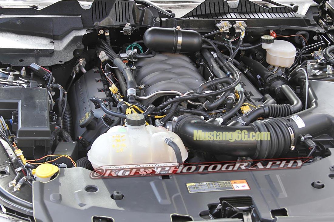 MustangMule.co5.KGP.ed-2199325208-O.jpg