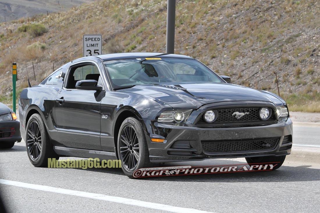 MustangMule.co6.KGP.ed-2199325211-O.jpg