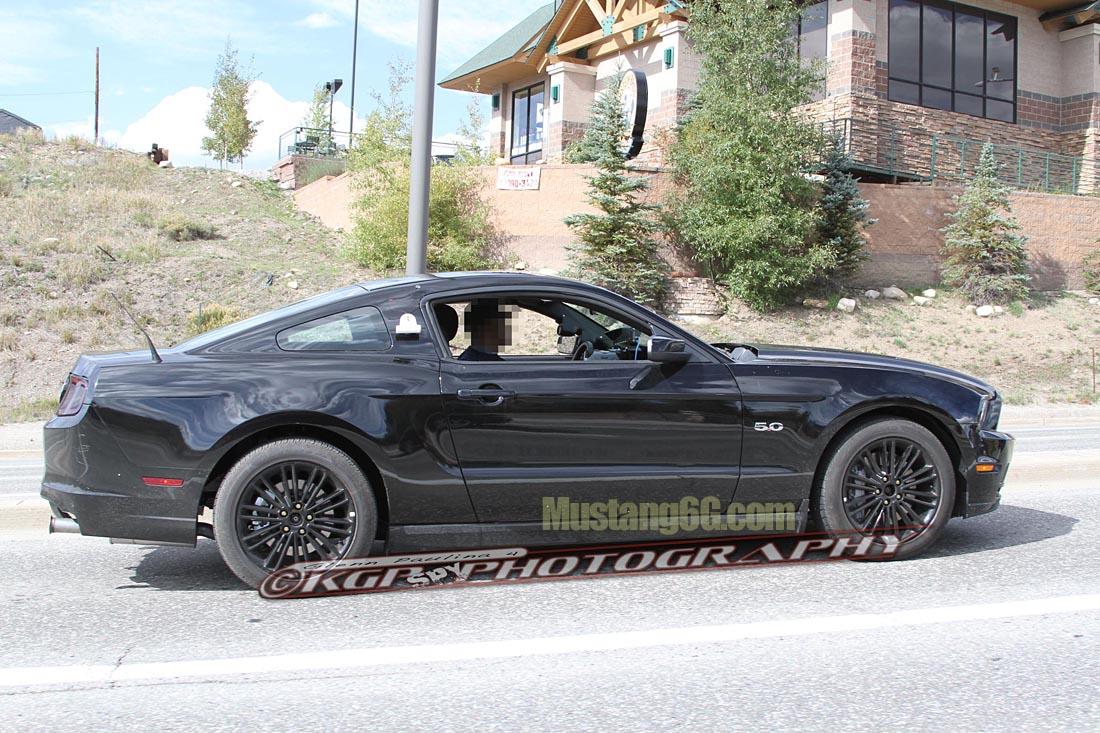 MustangMule.co7.KGP.ed-2199325499-O.jpg