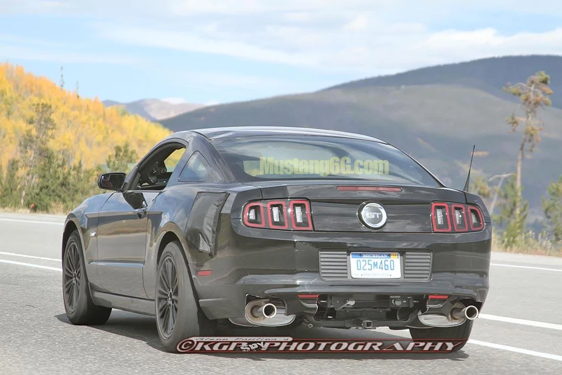 MustangMule.co8.KGP.ed-2199325748-O.webp