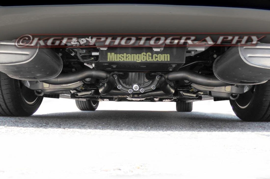 2015Stang.susp01.KGP.ed-2199345933-O.webp