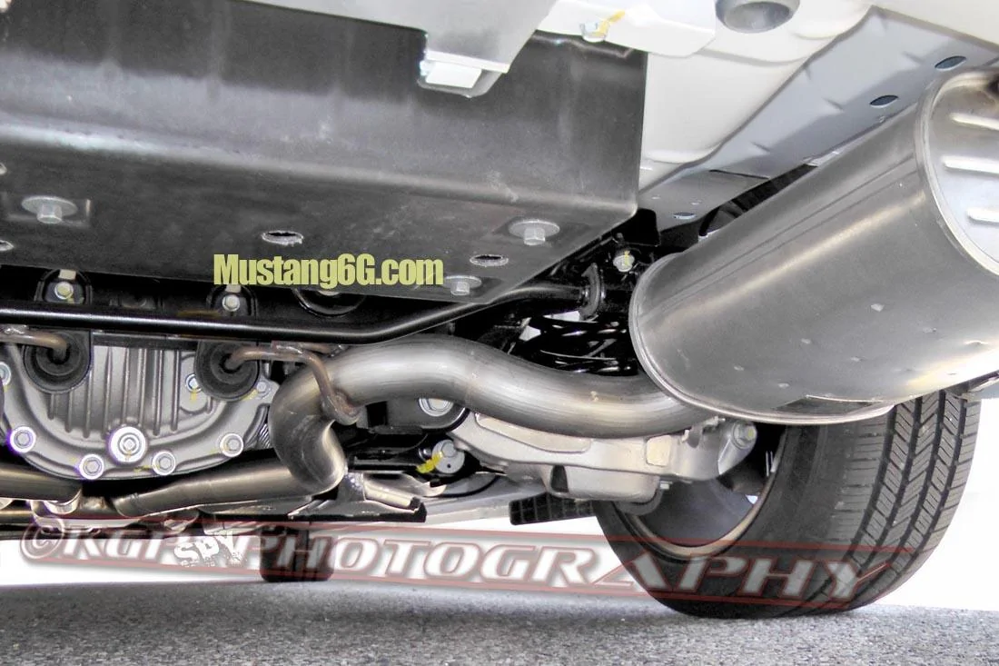 2015Stang.susp02.KGP.ed-2199346231-O.webp