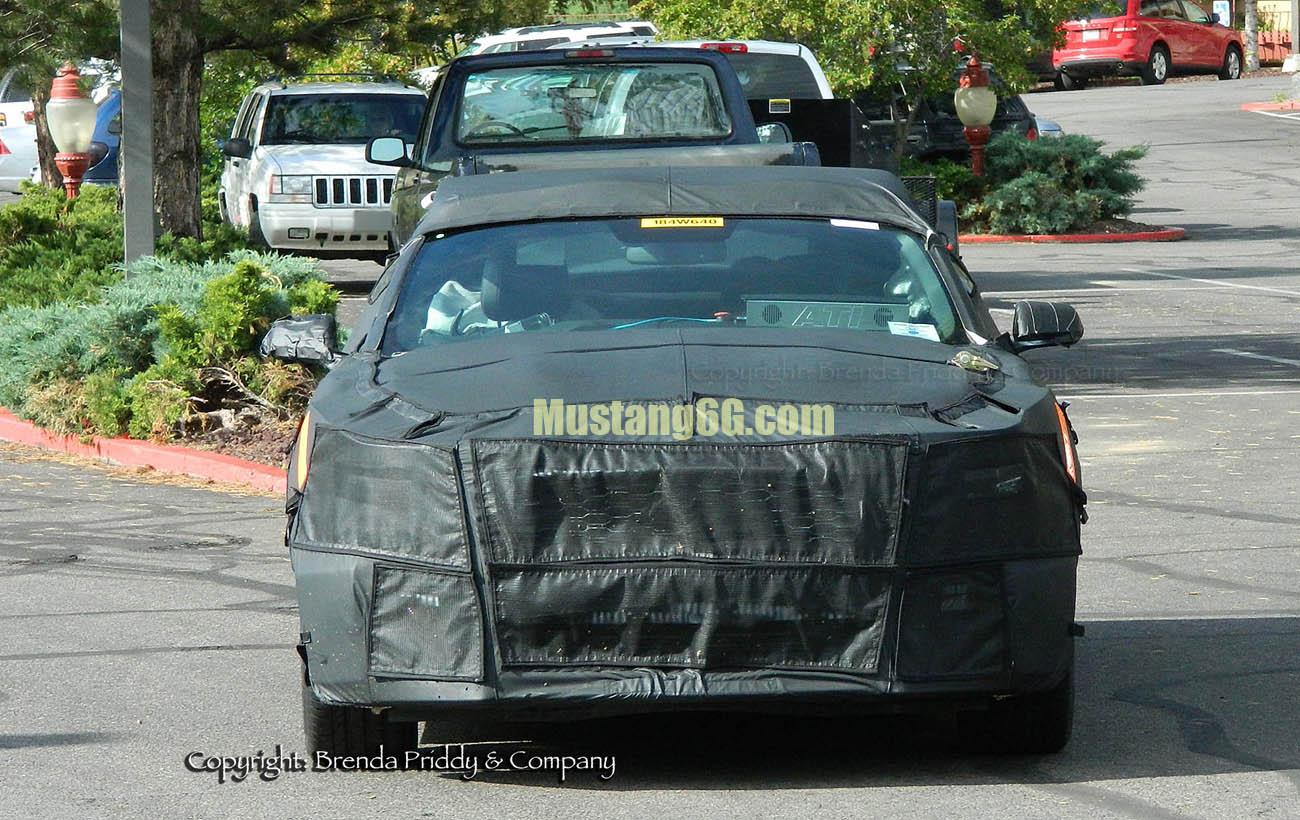 w_Mustang_FH_agu13_priddy4.jpeg