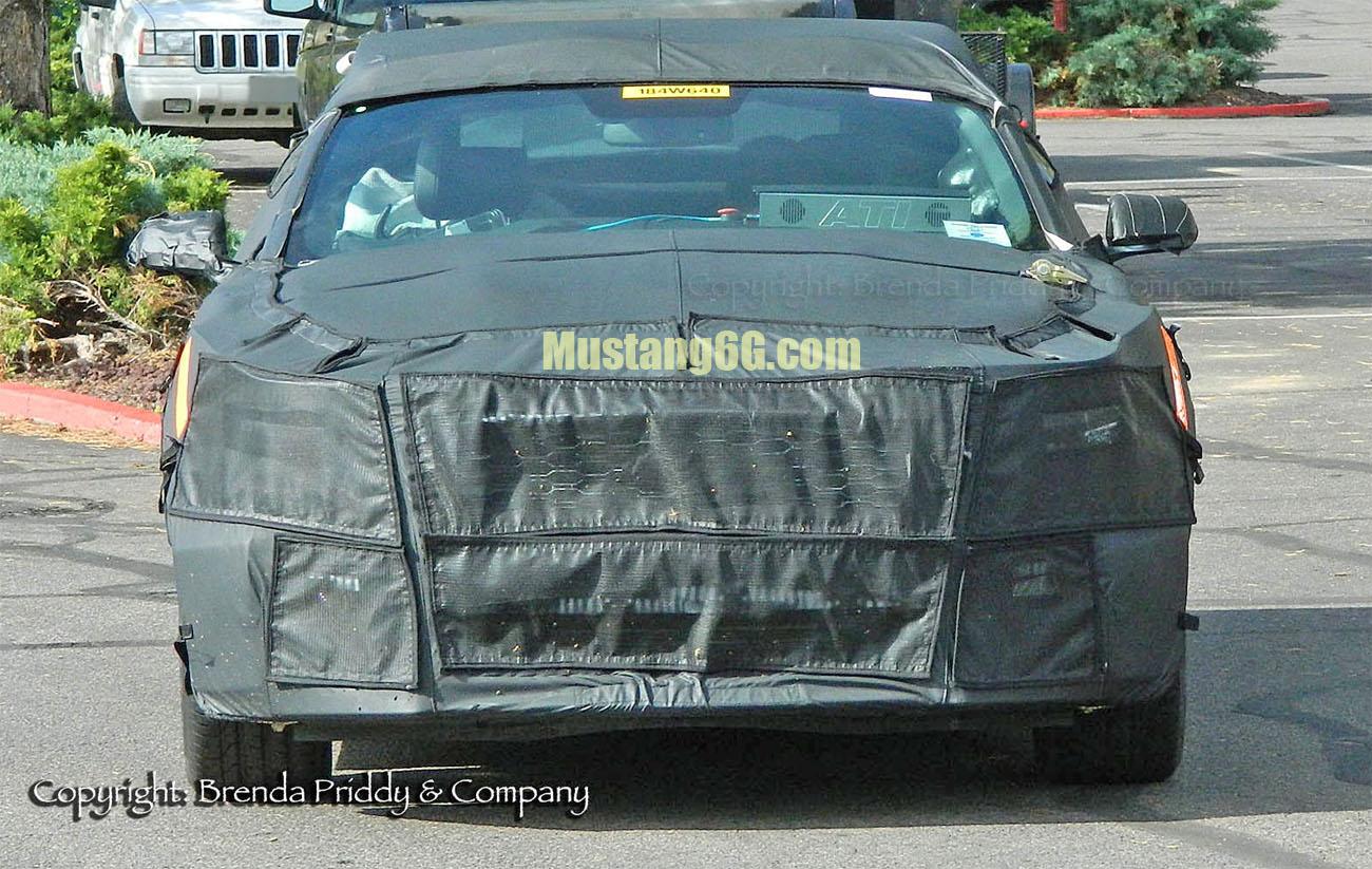 2015mustang.jpeg