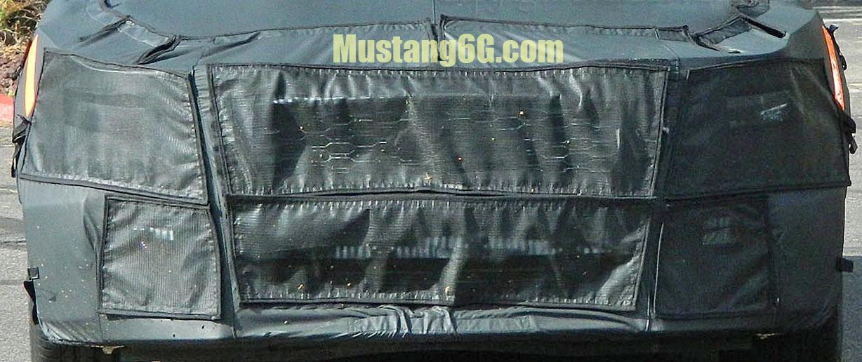 2015mustang1.jpeg