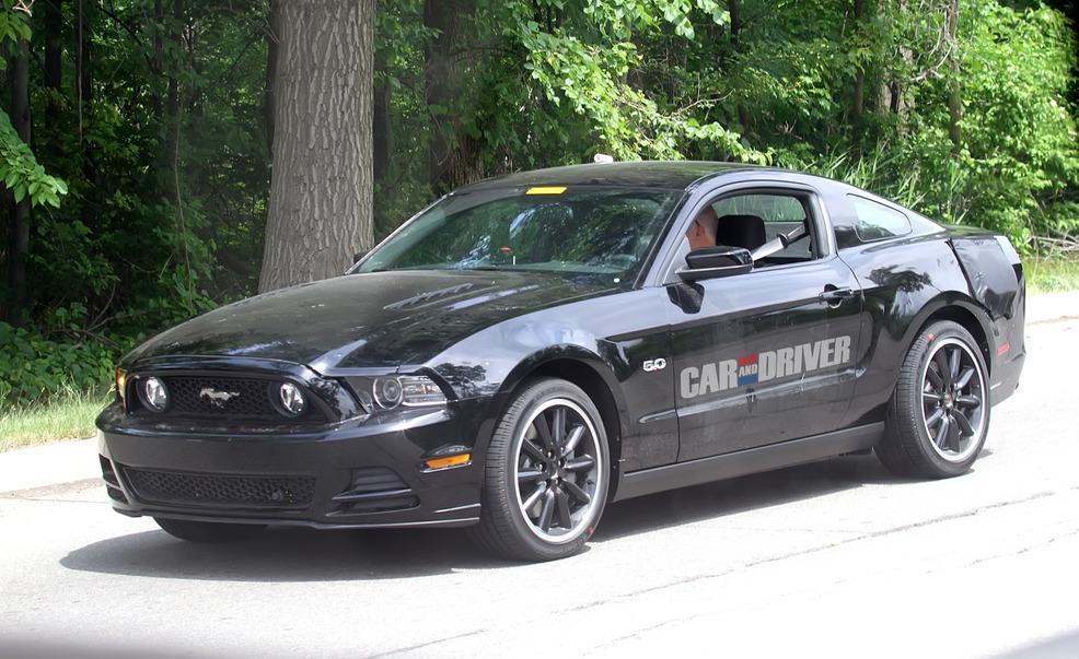 stang1.jpg