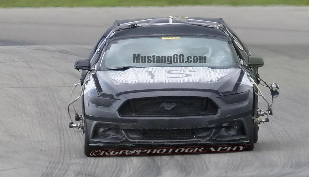 mustang2.webp