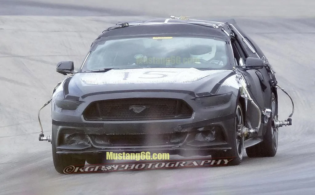 mustang5.webp