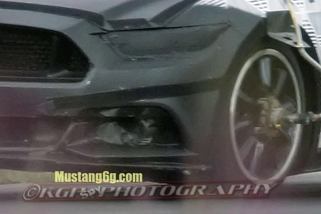 mustang10.webp