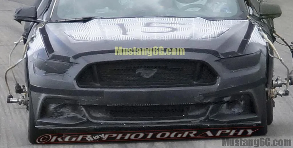 mustang14.webp