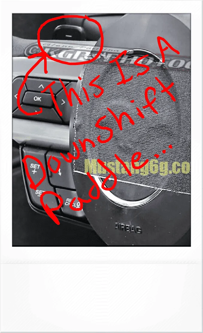 image_01.webp
