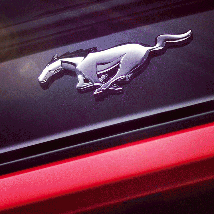 rearPony.gif