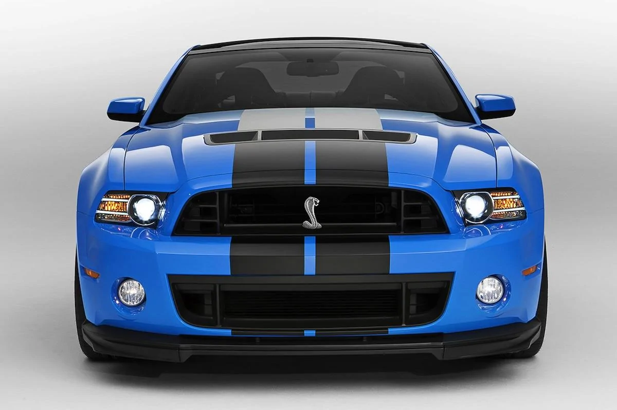 shelby.webp