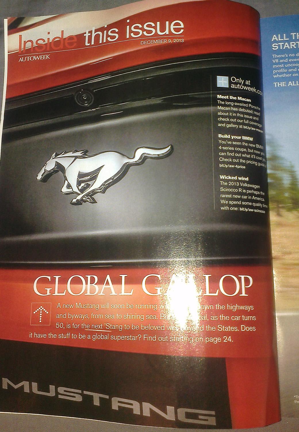 mustang2.jpg