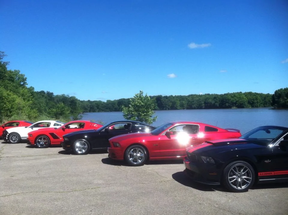 Mustangs.webp