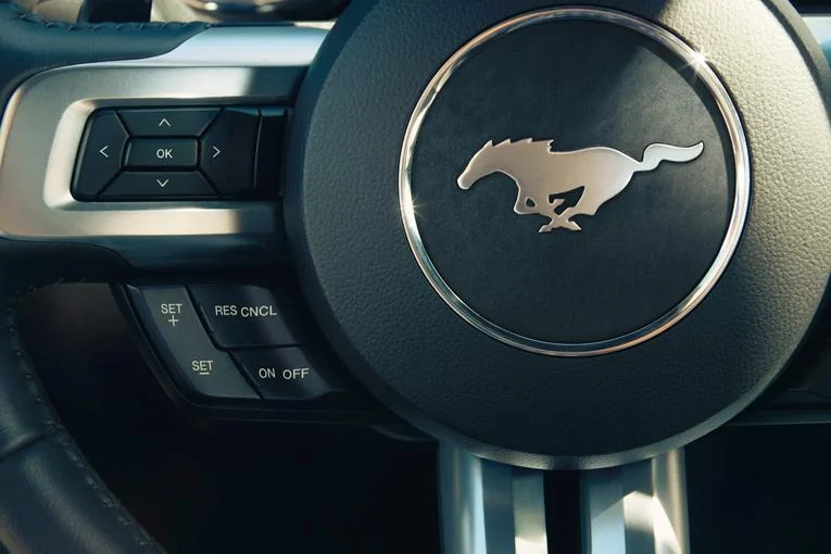 steering-with-pony.webp