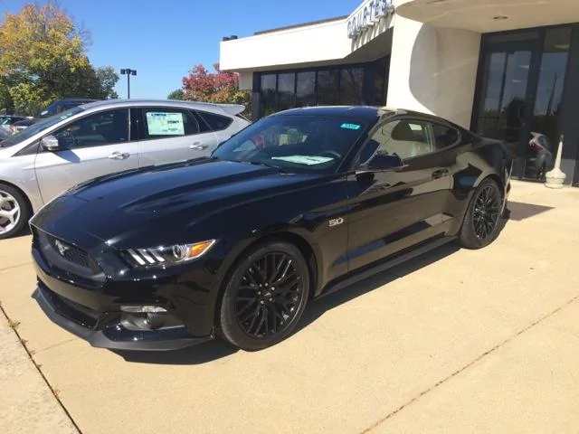 stang1.webp
