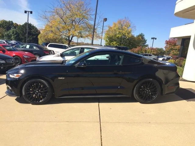 stang2.webp