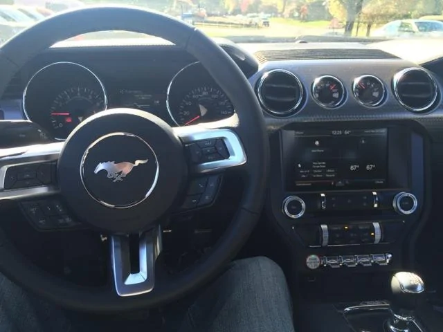 stang3.webp