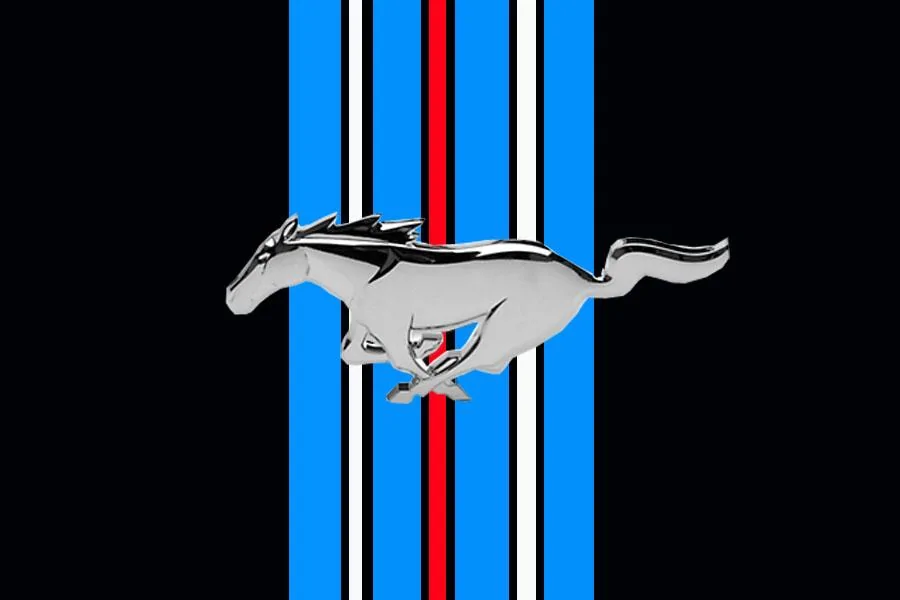 W1.webp