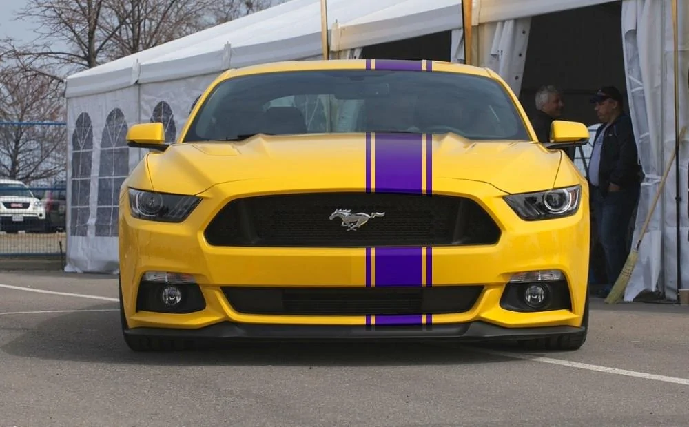purpleyellow.webp