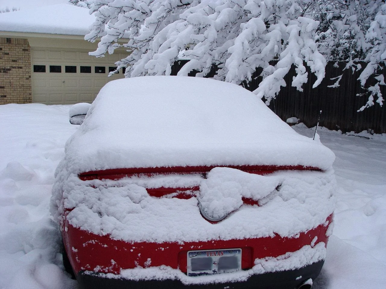 DSC06027.webp