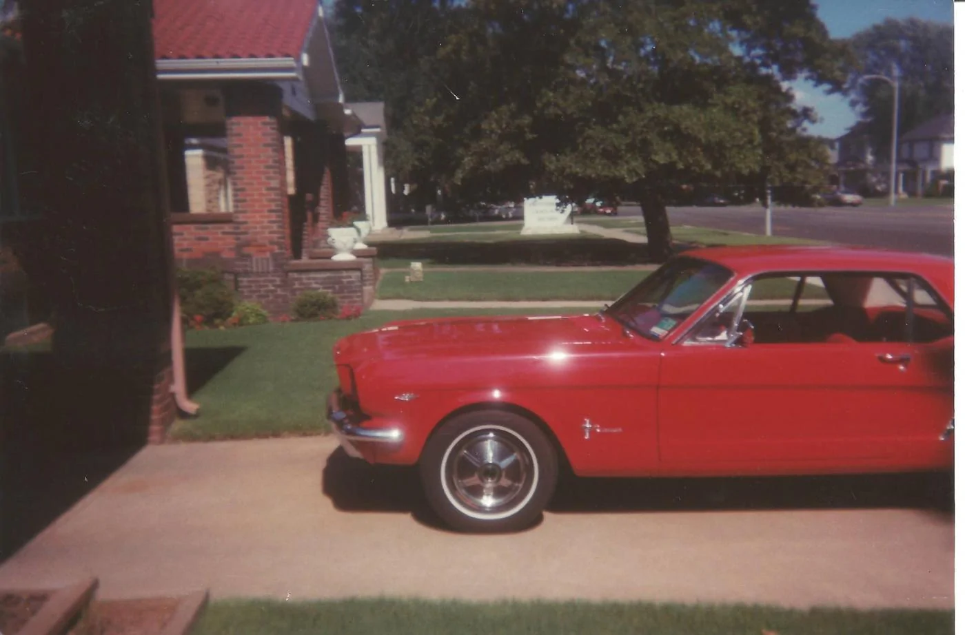 65 Pony.webp