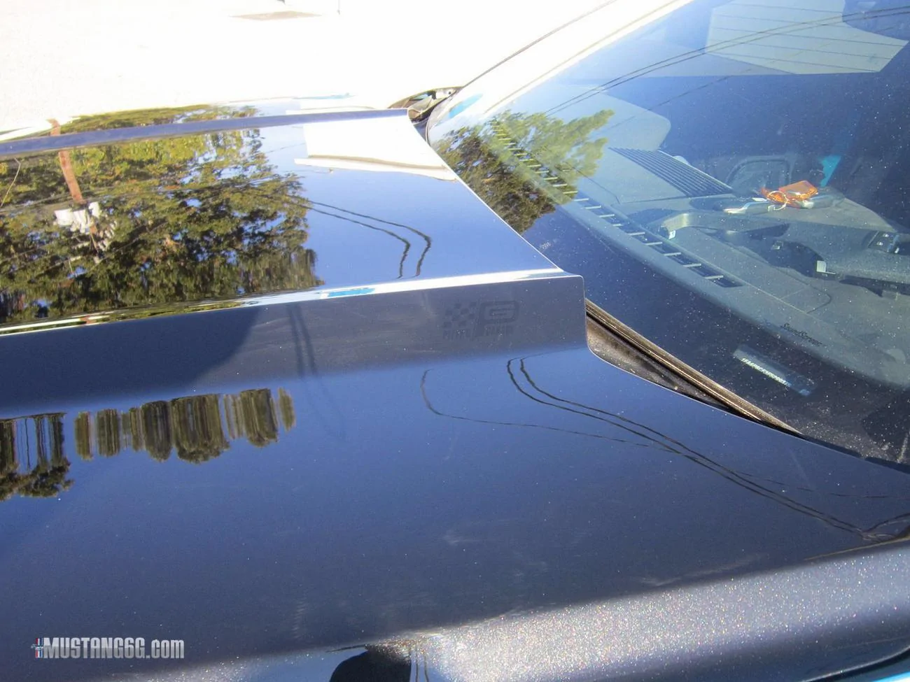 Petty S550-10.webp
