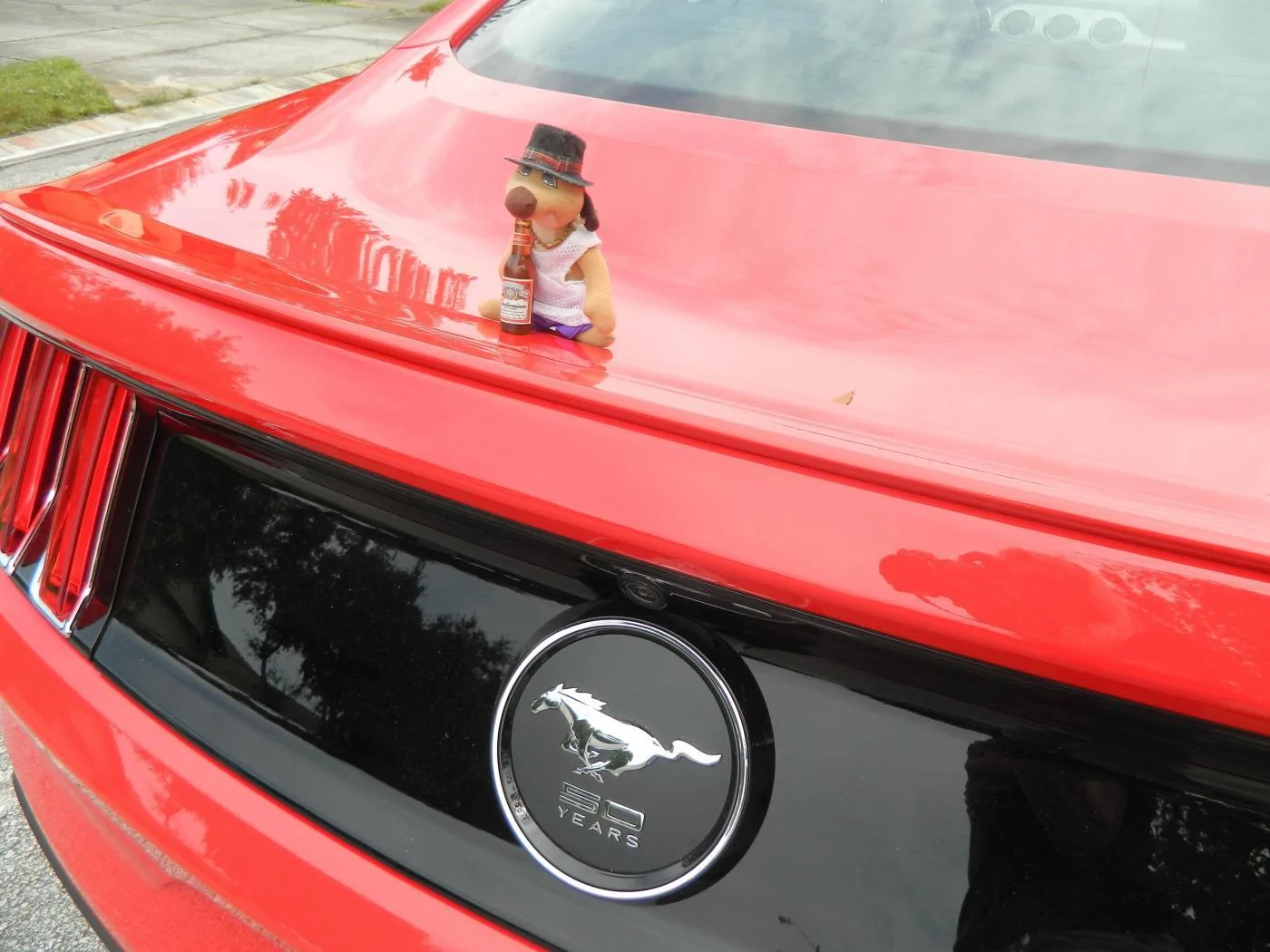 DSCN4104.webp